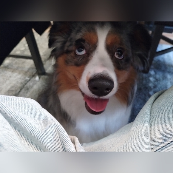 Meet your Posher Ambassador, Michelle! - Picture 3 of 12